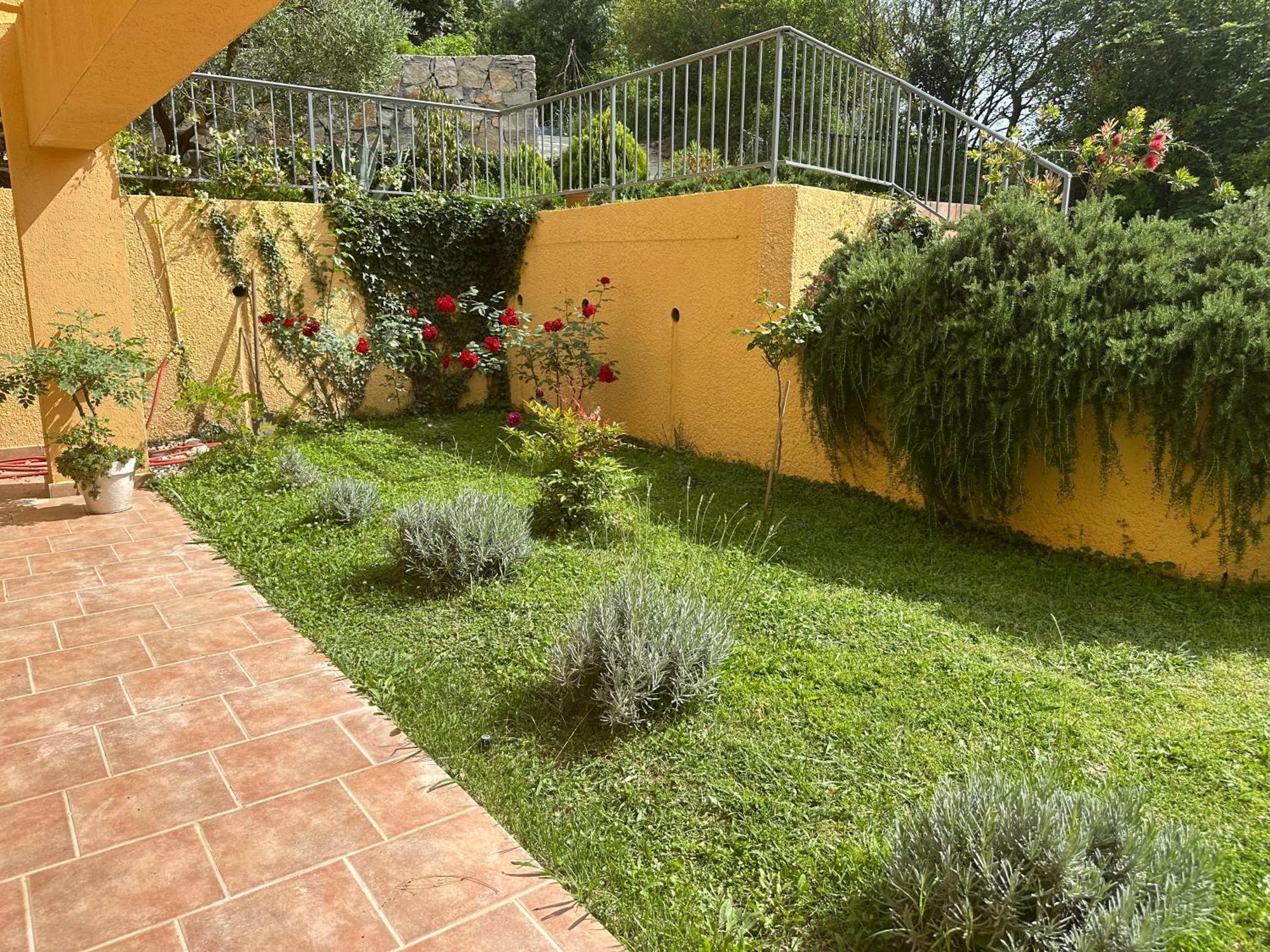 Villa Risan Apartments Extérieur photo